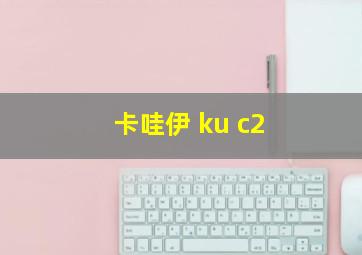 卡哇伊 ku c2